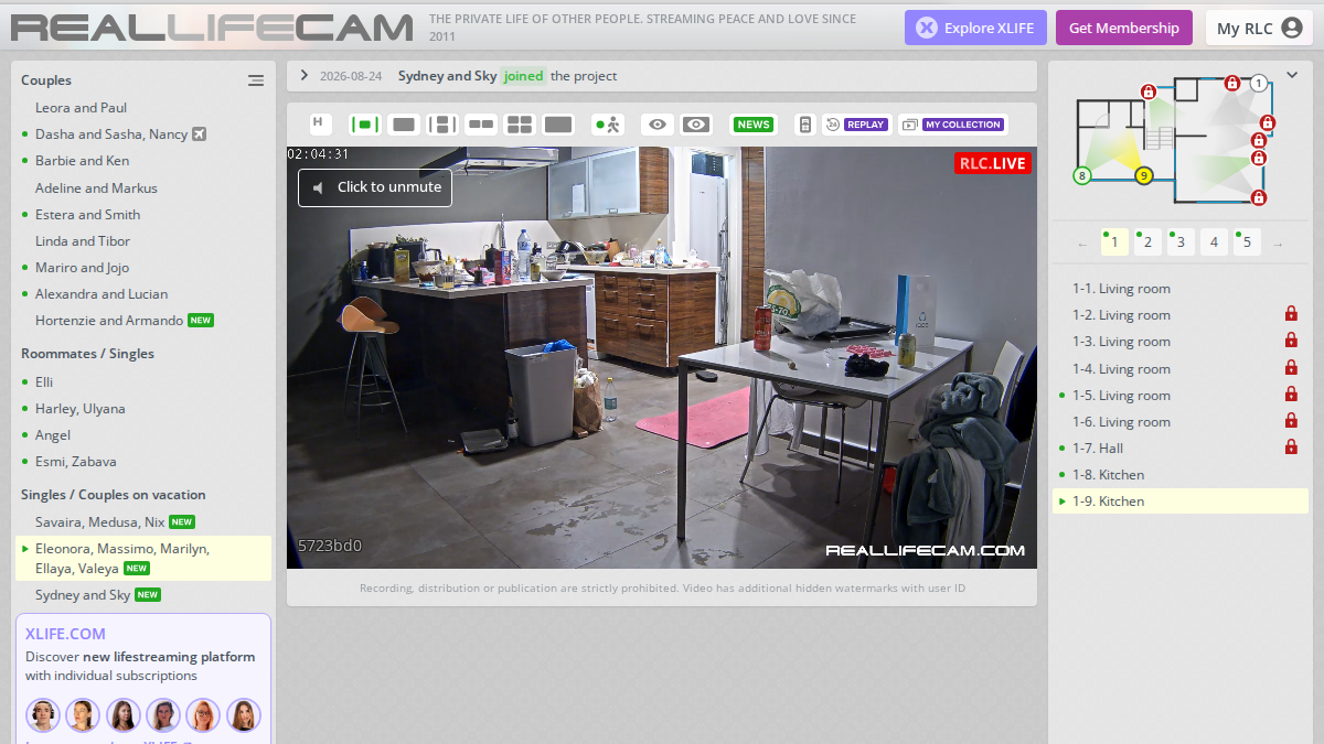 RealLifeCam · -sivuston esikatselu